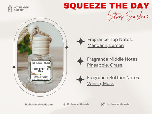 Squeeze the Day Car Diffuser